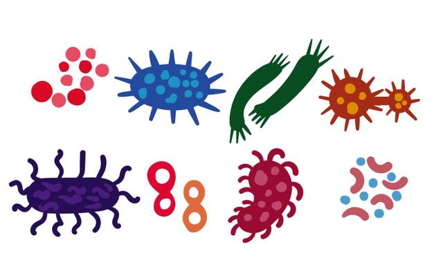 3分鍾科普,管道(dào)清洗到底是不是騙局?